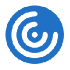 Citrix Icon