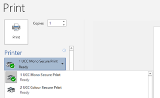 printer menu screenshot