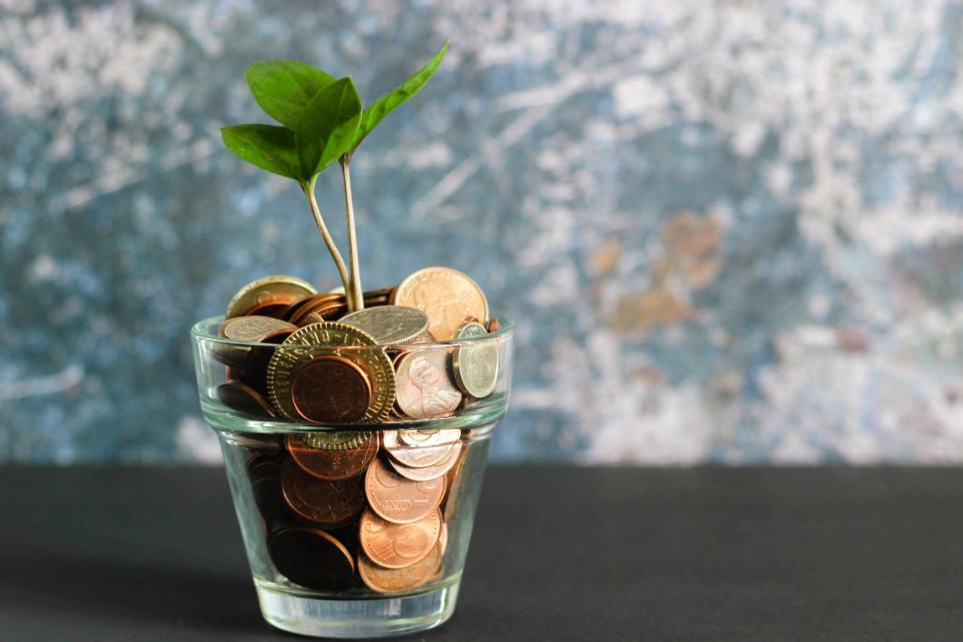a green shoot sprouting from a jar of coins
