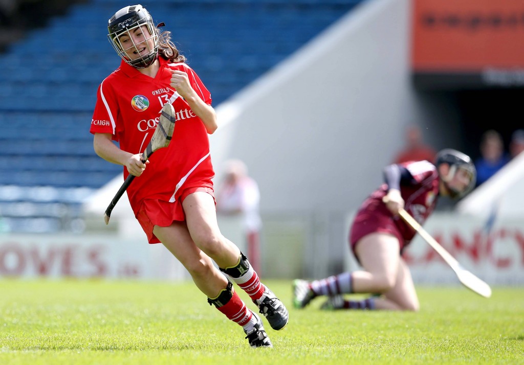 All Ireland Camogie Final 2015