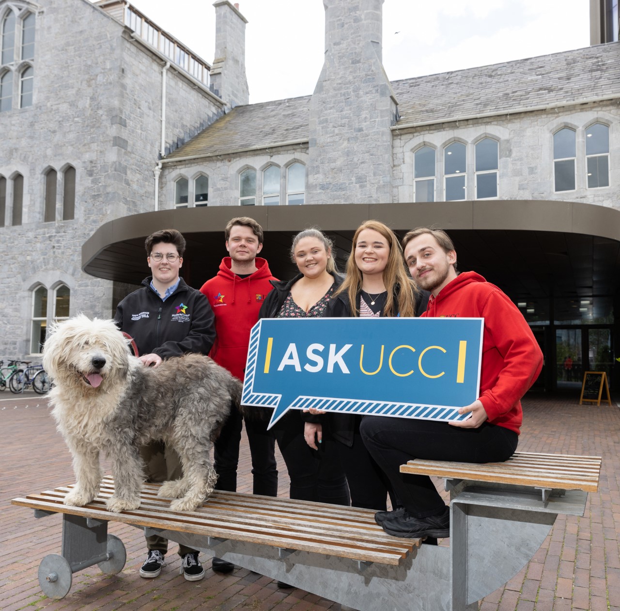 The ASK UCC website officially launched!