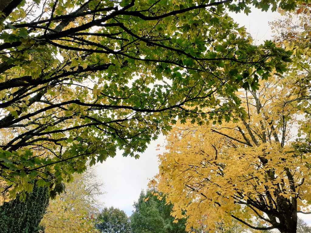 Changes to the Residential Tenancies Act