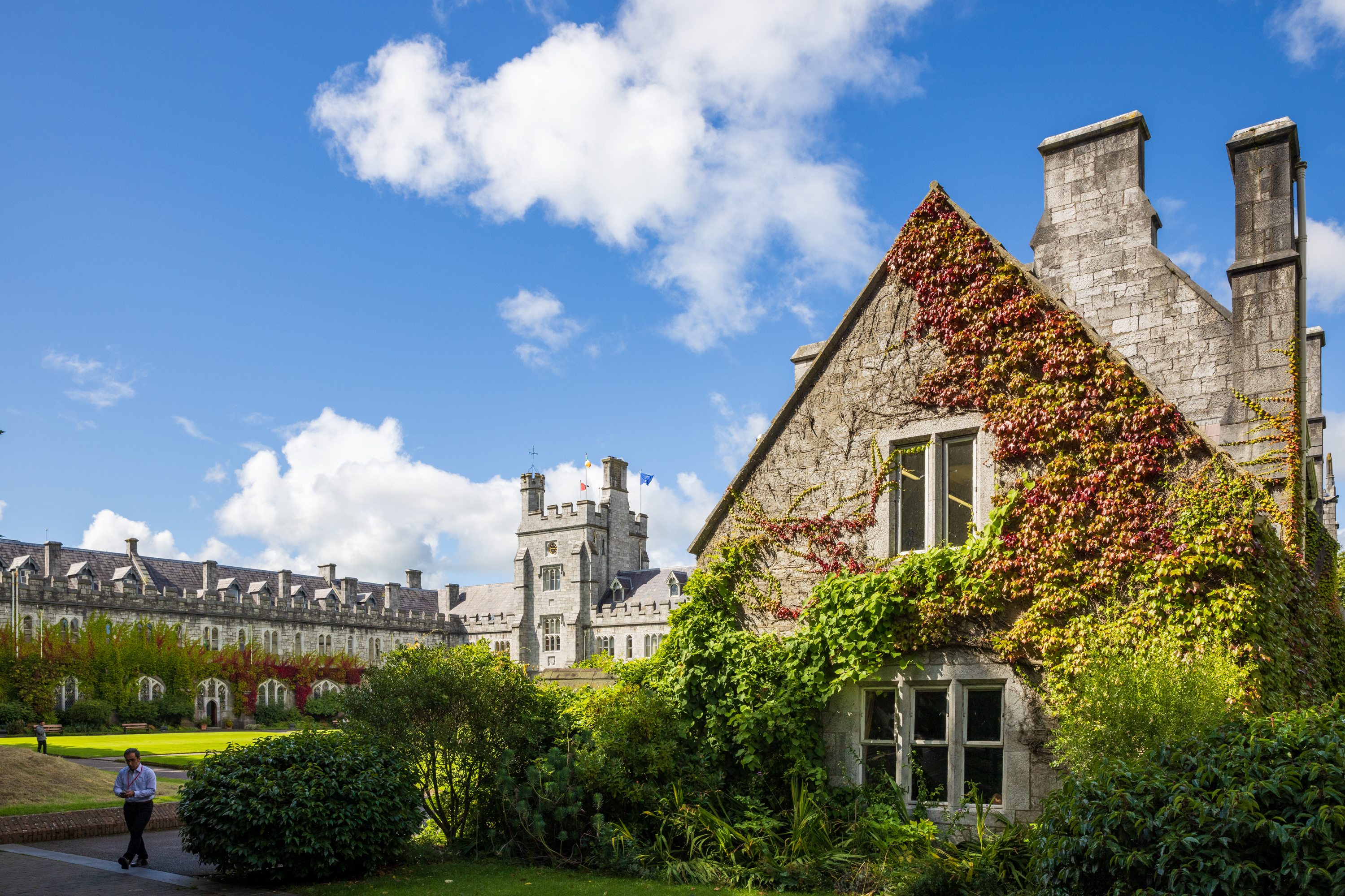 Sustainability in Teaching and Learning Showcase - Call for Case Studies