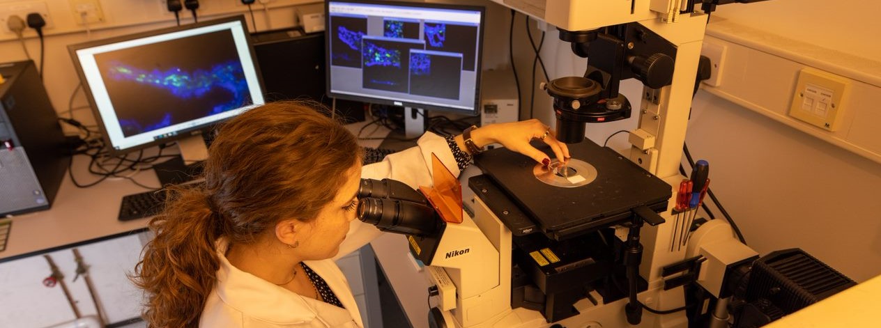 A young woman wearing a labcoat looking through a microscope in a lab and adjusting an instrument