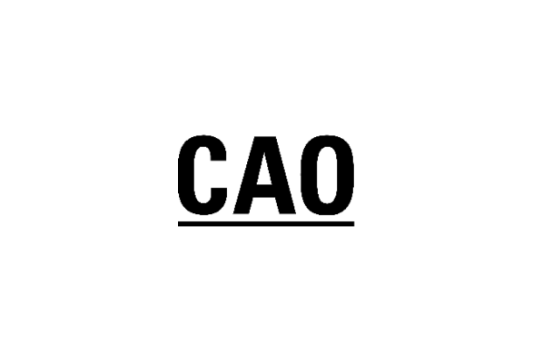 CAO Ireland Logo