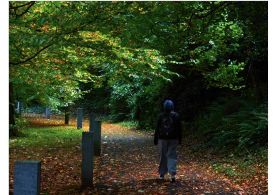 A student walks through a leafy green area of the university campus