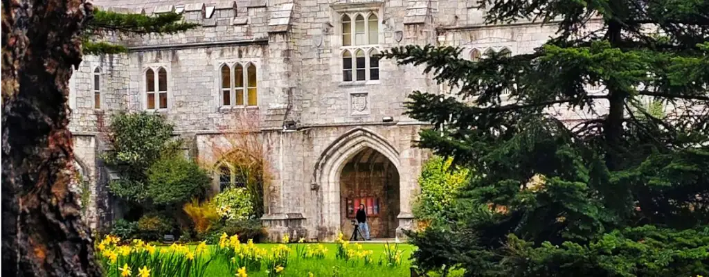 International Student Information Hub