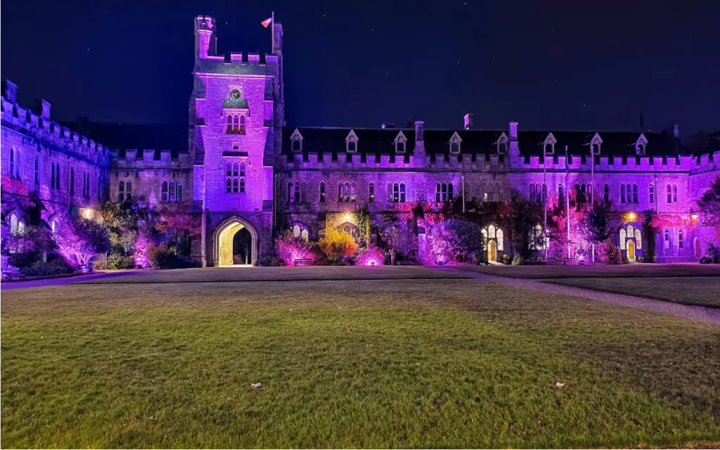 The Quad lit in purple light at night