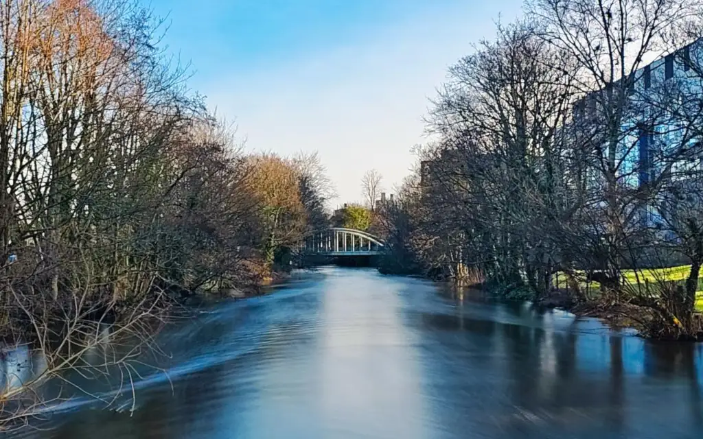 River Lee on Campus