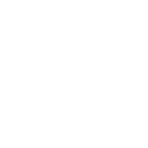 Institutional Review Report 2023