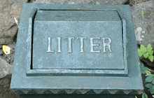 UCC cleans up in anti-litter league