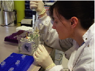Cork Cancer Research Centre (CCRC) achieves Systemic, Long-Lasting and Tumour Specific Results in Pre-Clinical Trials