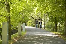 Irish Social Sciences Platform Summer School