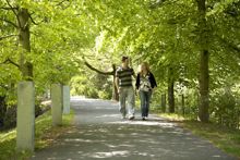 Connecting with Family Carers - UCC Conference