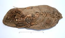 World’s oldest leather shoe found in Armenia
