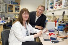 UCC scientists advance probiotic research