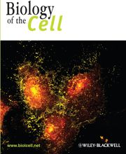 International Recognition for Cell Imaging